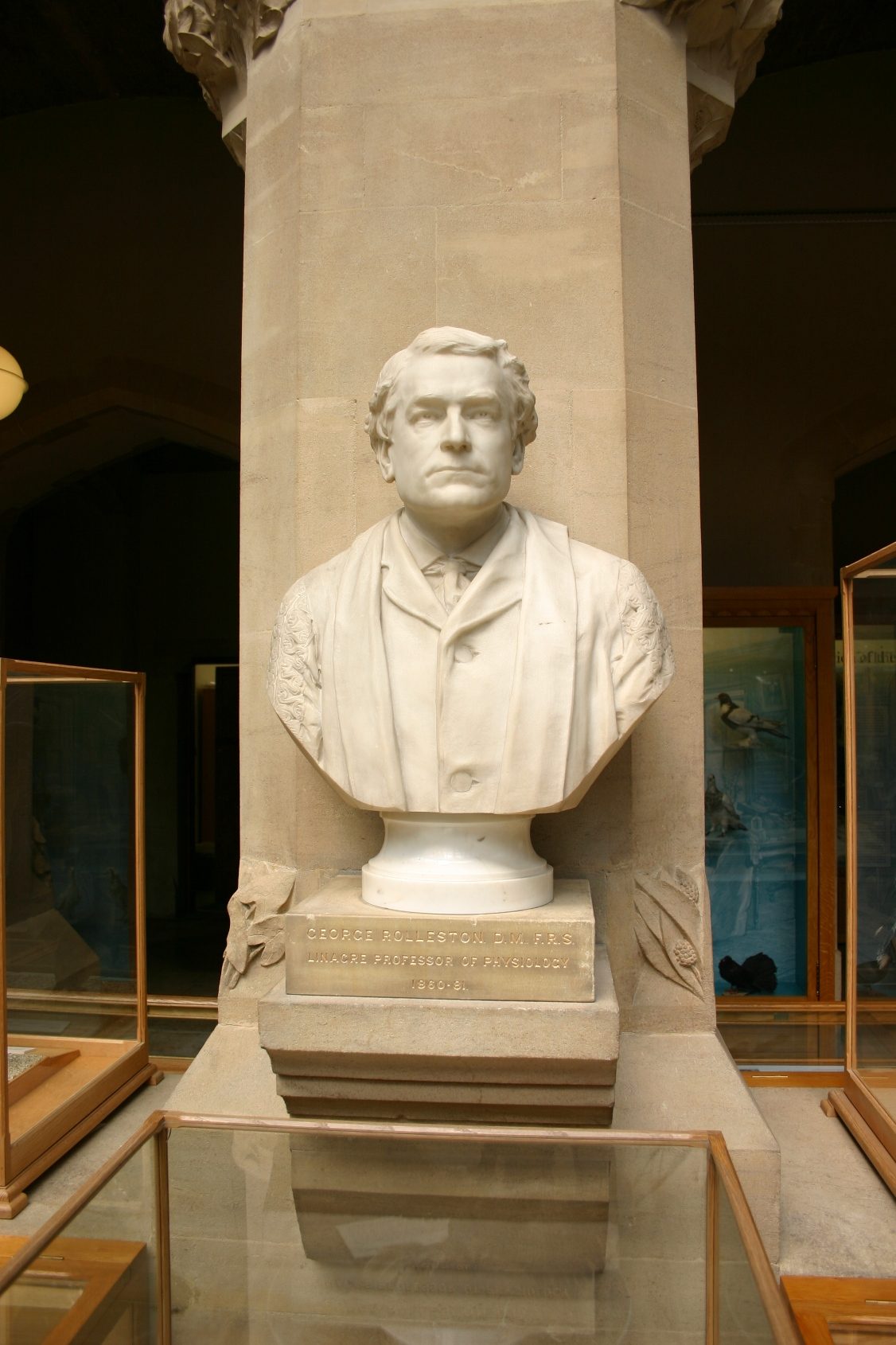 George%20Rolleston%27s%20bust%2C%20Oxford%20University%20Museum%20of%20Natural%20History%2C%20Oxford%20%282%29.JPG